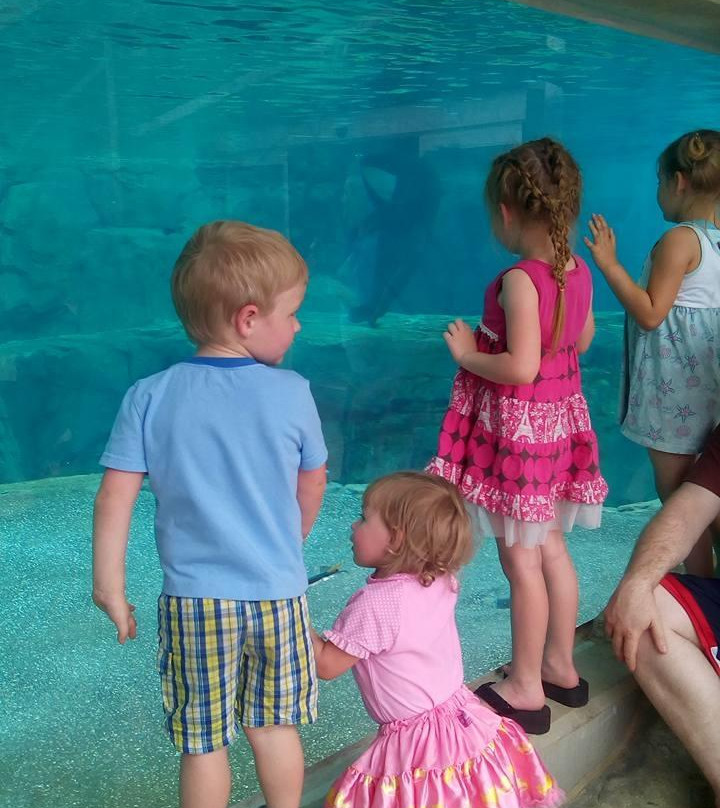 Sea Lion Landing-哥伦比亚必去景点