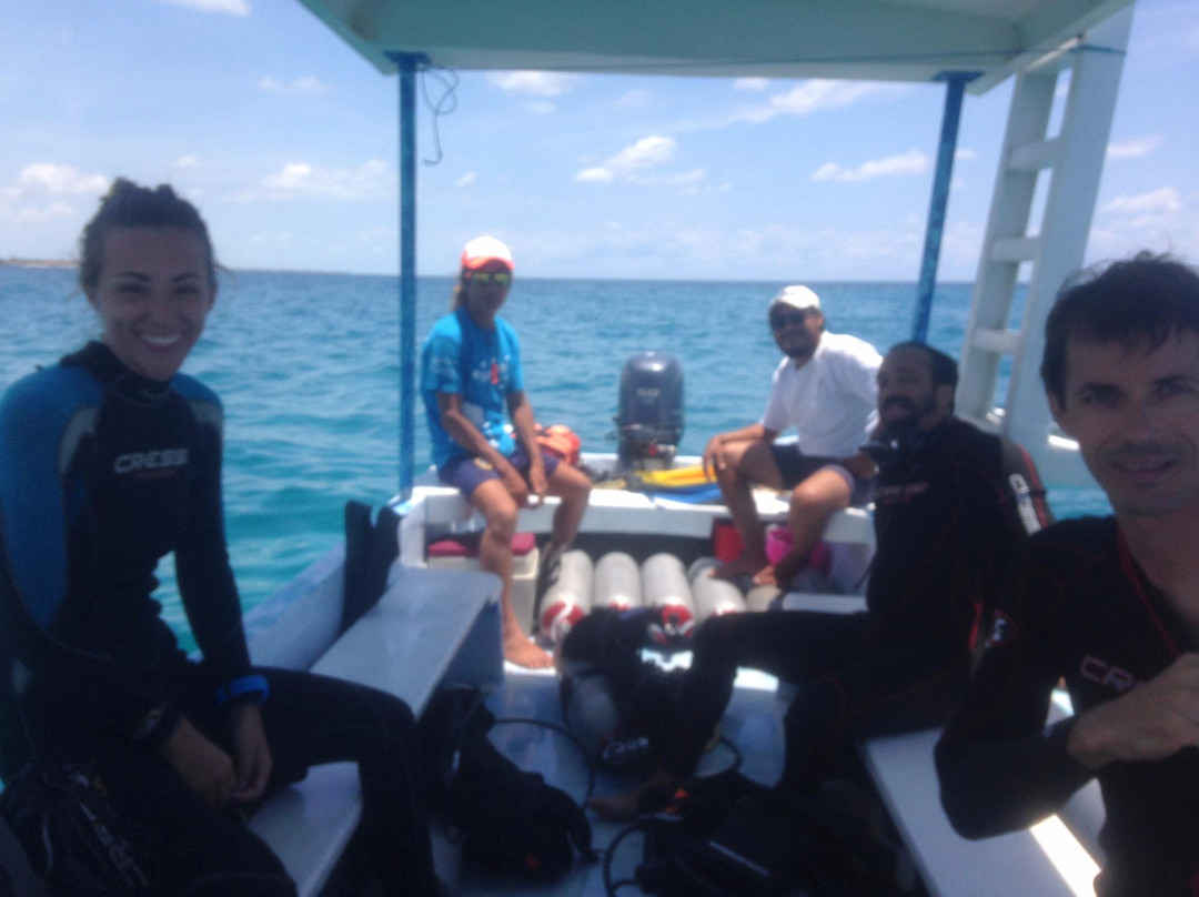 Manatus Mexico-从莫雷洛斯港必去景点