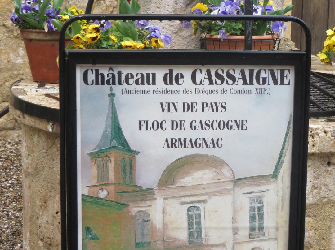 Chateau de Cassaigne景点图片