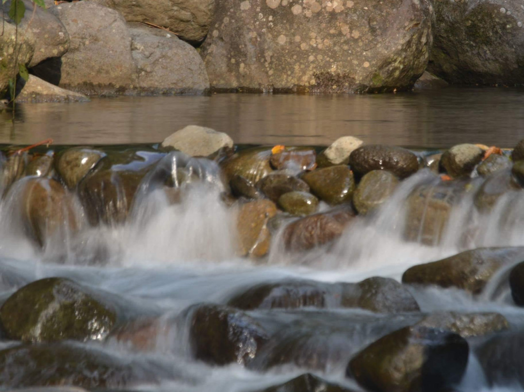 Finca Isla Wellness Retreat主图