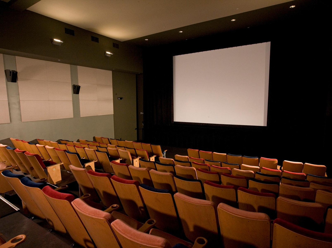 Jacob Burns Film Center景点图片