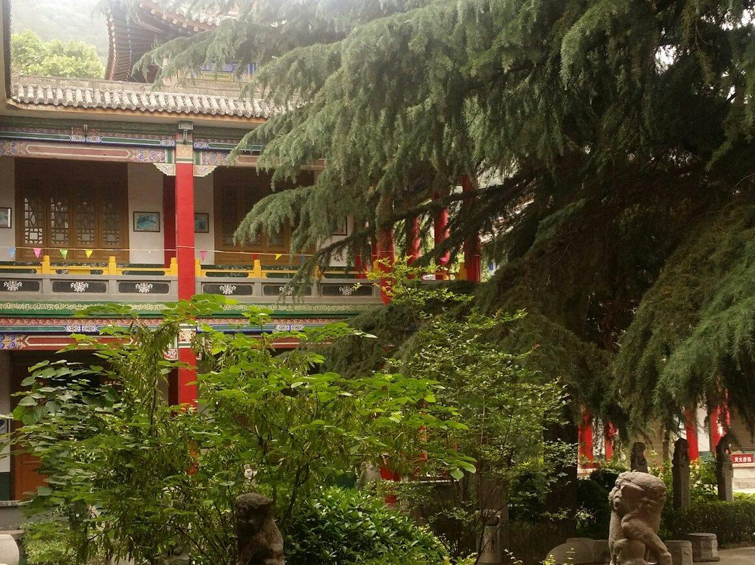 临潼博物馆景点图片