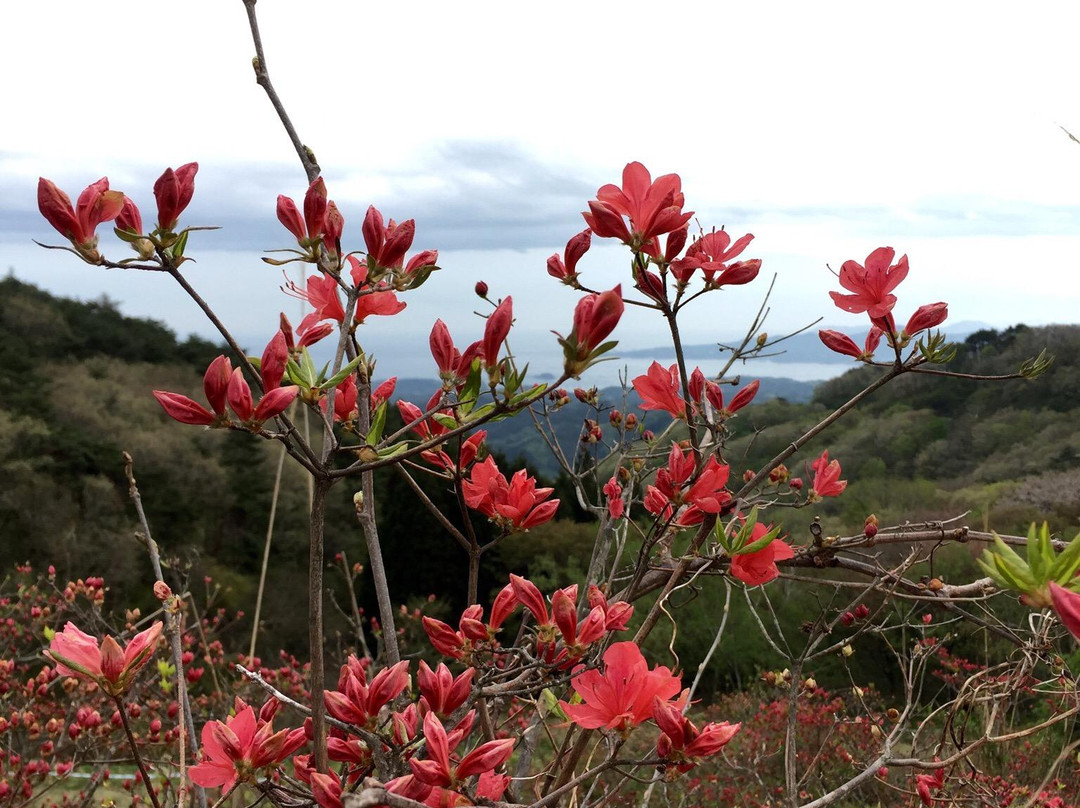 Mount Tatsugane-南三陆町必去景点
