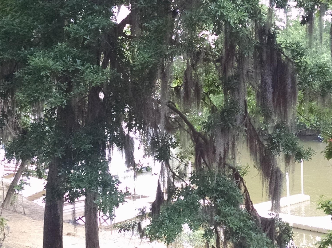 Cooter's Pond Park-Prattville必去景点