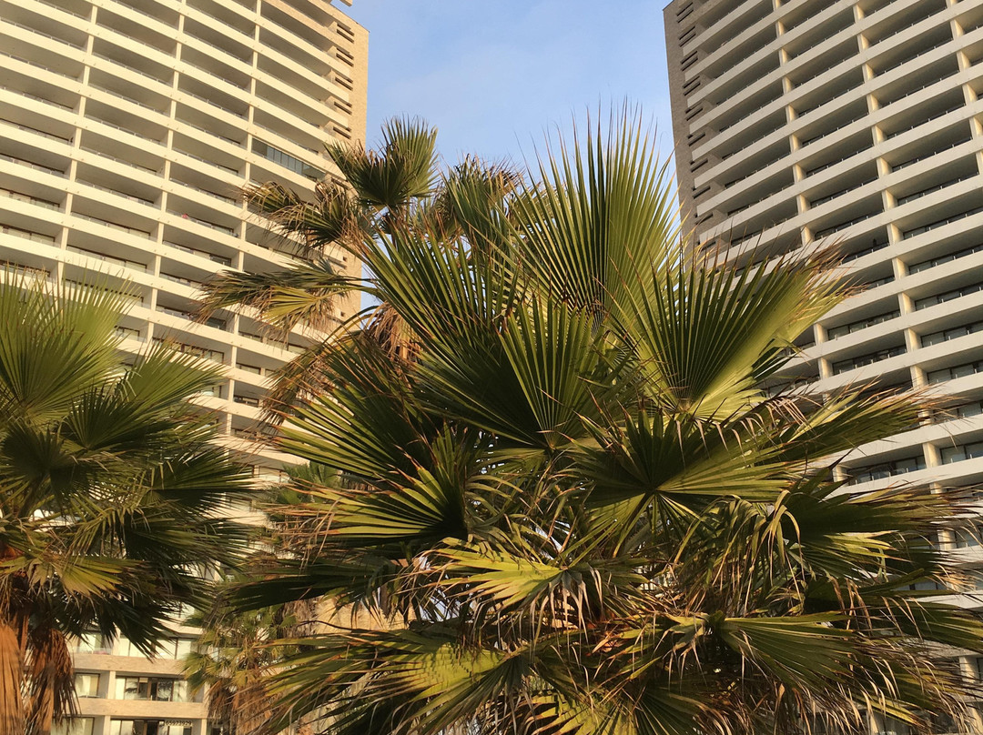 Jardin del Mar