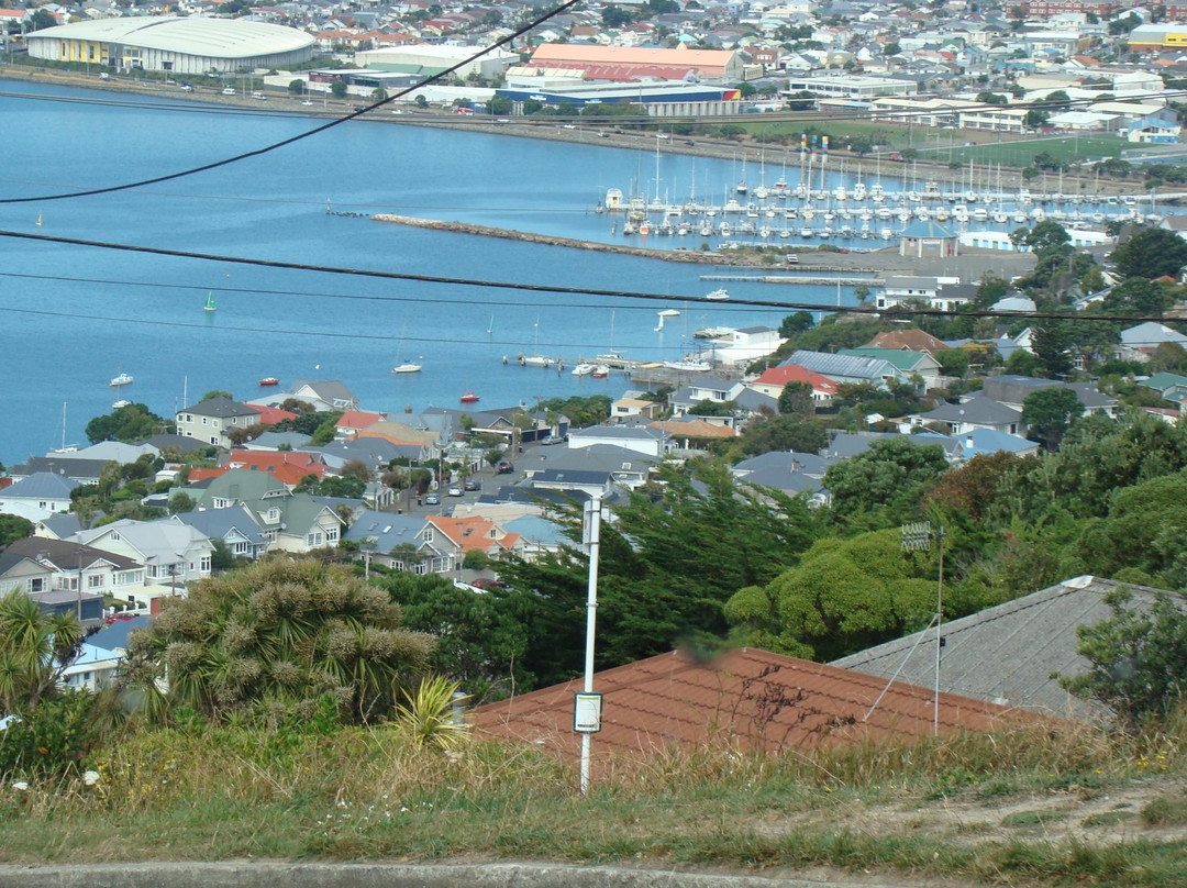 Homestay at Evans Bay主图