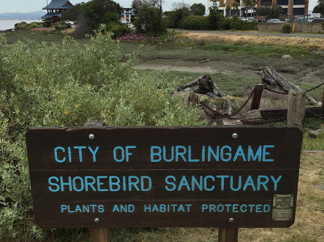 Shorebird Sanctuary-伯灵格姆必去景点