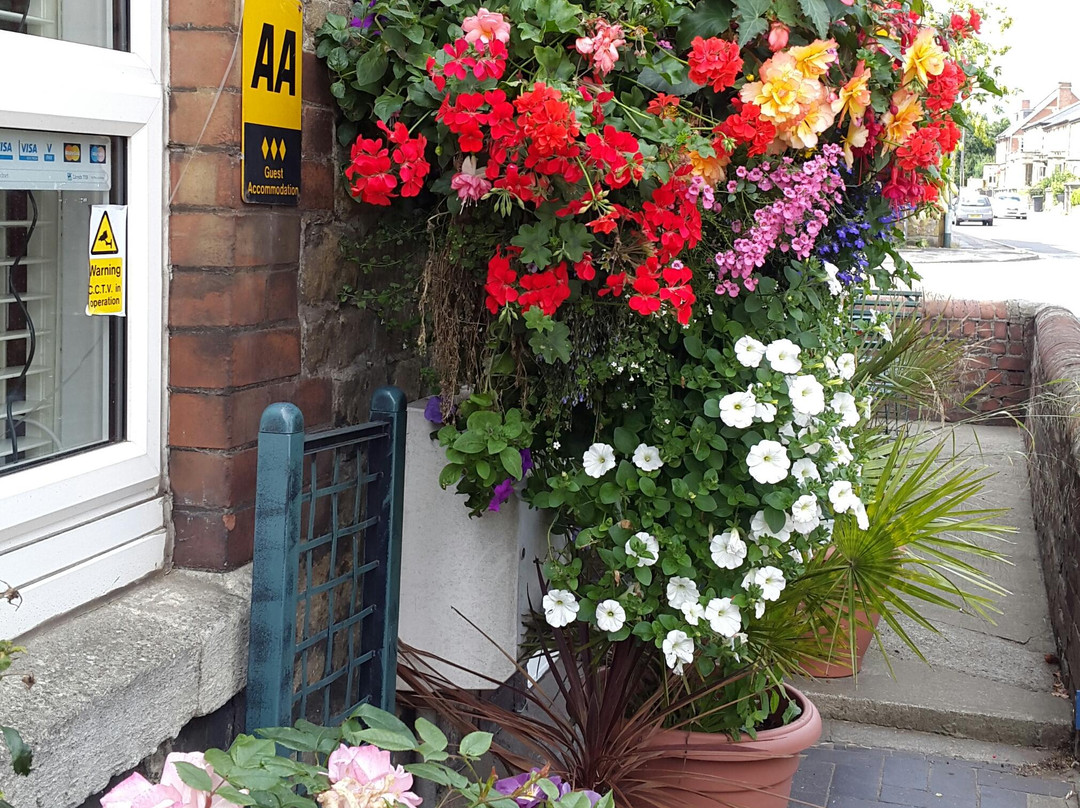 Kington St Michael酒店住宿-Diana Lodge B And B