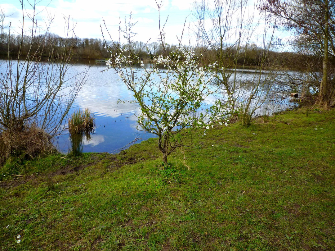 Riverside Park-吉尔福德必去景点