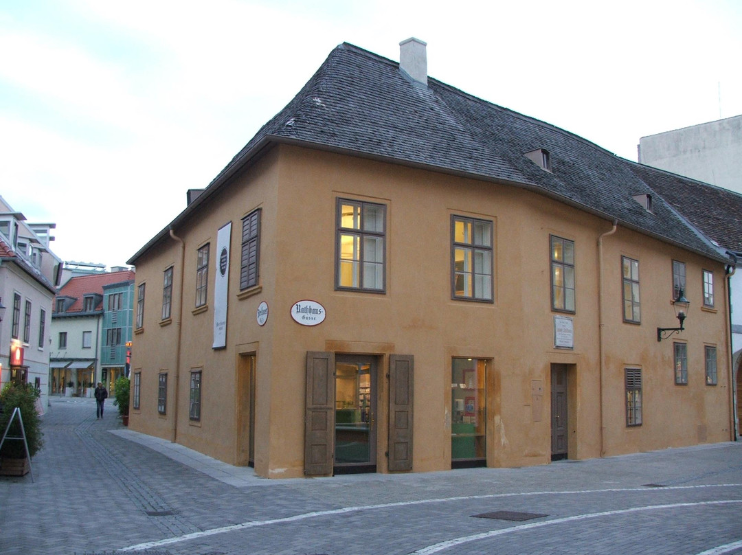 Beethovenhaus Baden景点图片