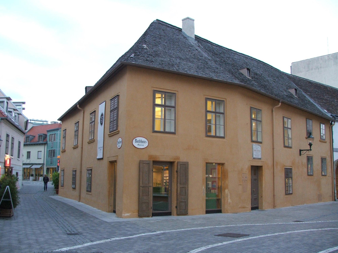 巴敦旅游景点-Beethovenhaus Baden