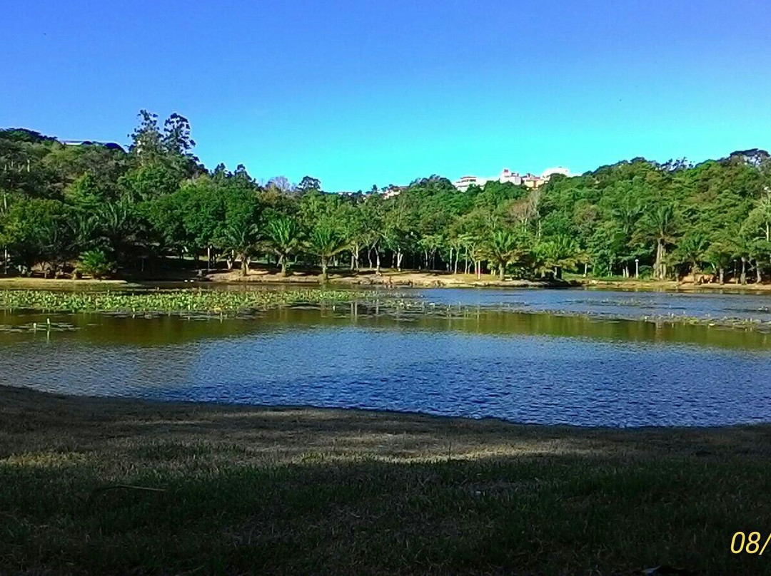 Horto da Serra Botanical Garden景点图片