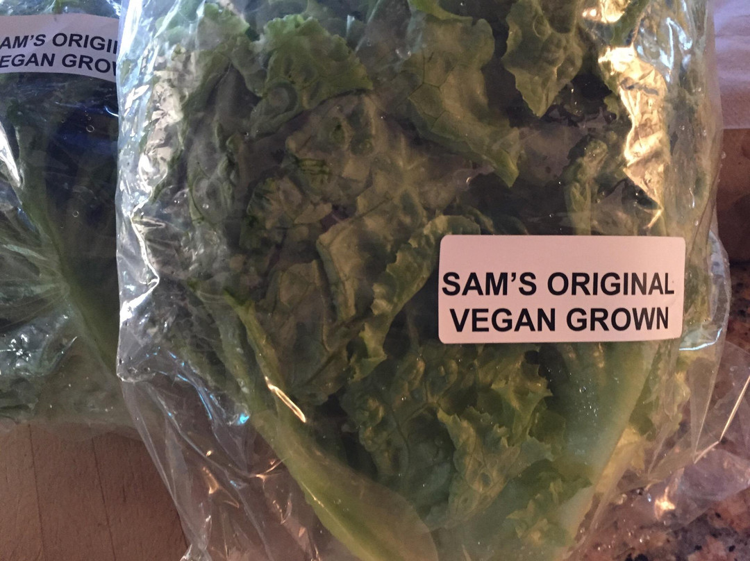 Pure Kona Green Market-库克船长必去景点