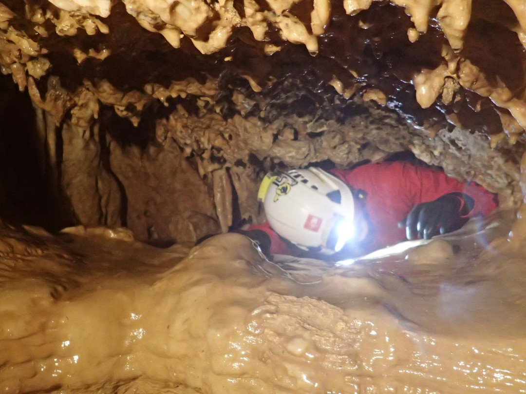 Okinoerabujima Caving Gaid Union景点图片