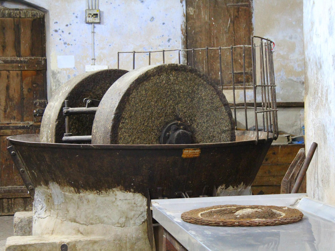 Daoud Courtyard-I'billin必去景点