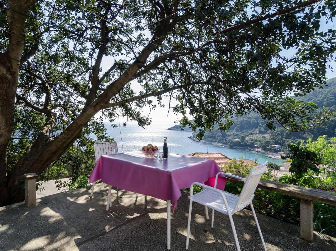 Guest House Kralj