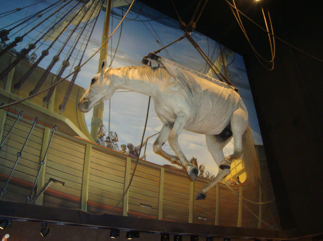 American Saddlebred Museum-列克星敦必去景点
