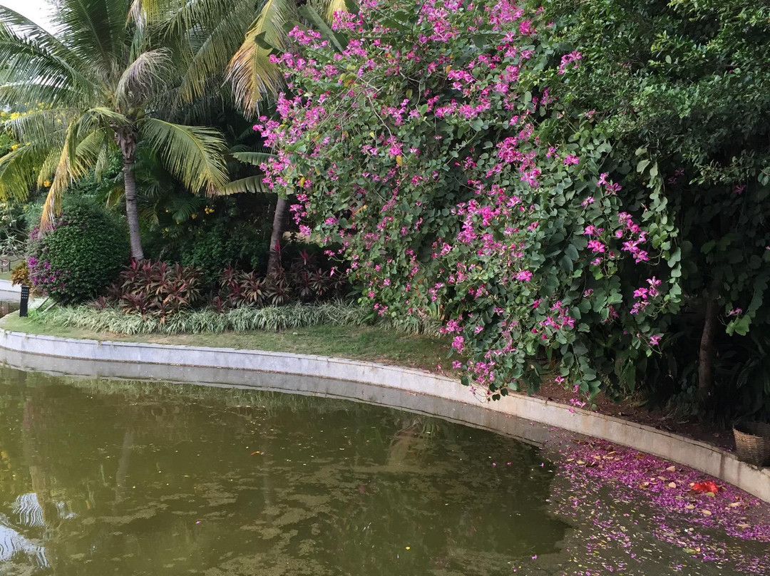 陵水海洋之心酒店高尔夫店