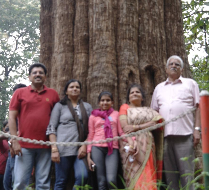 Kannimara Teak-Palakkad必去景点