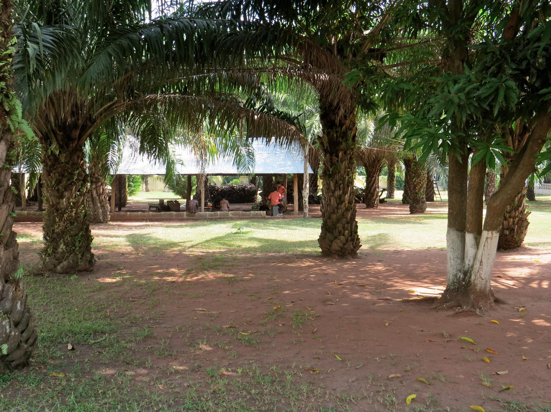 Odumase Krobo旅游攻略图片
