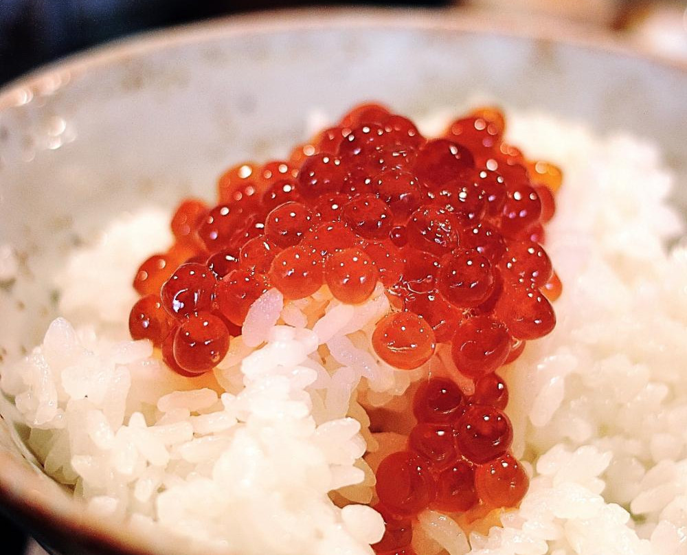石狩市餐馆和美食-Kintaitei