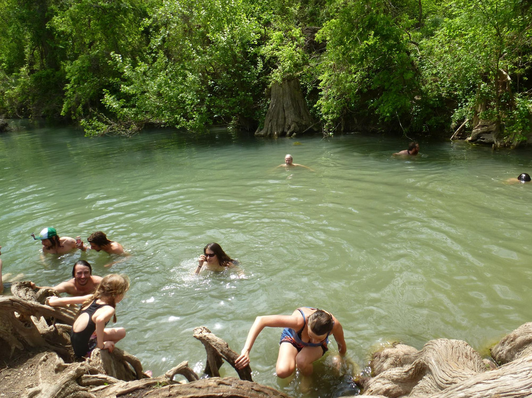 Driftwood旅游攻略图片