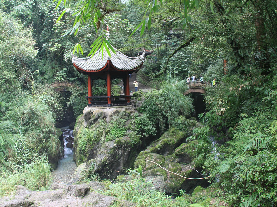 杜鹃花保护区-峨眉山市必去景点