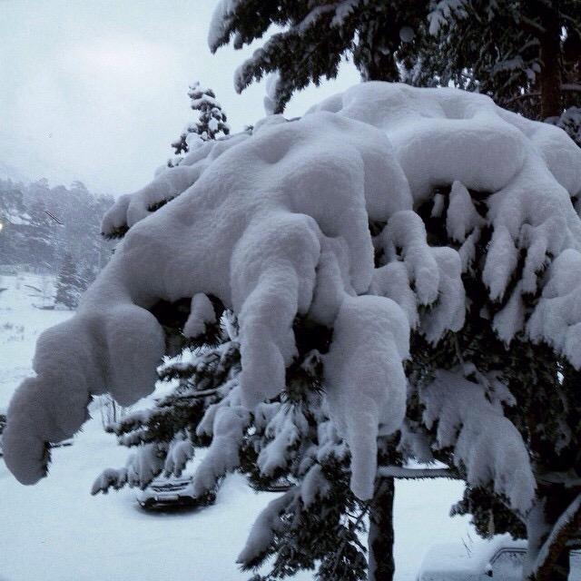 Hotel Balkaria主图