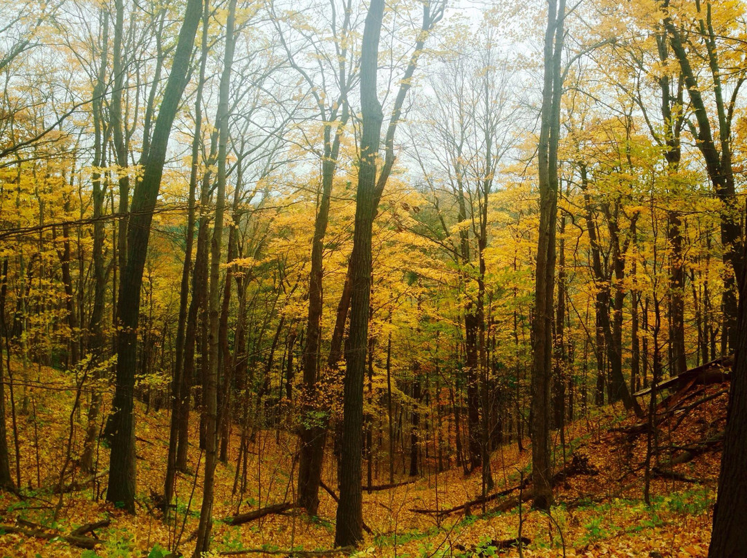 Rouge National Urban Park-多伦多必去景点