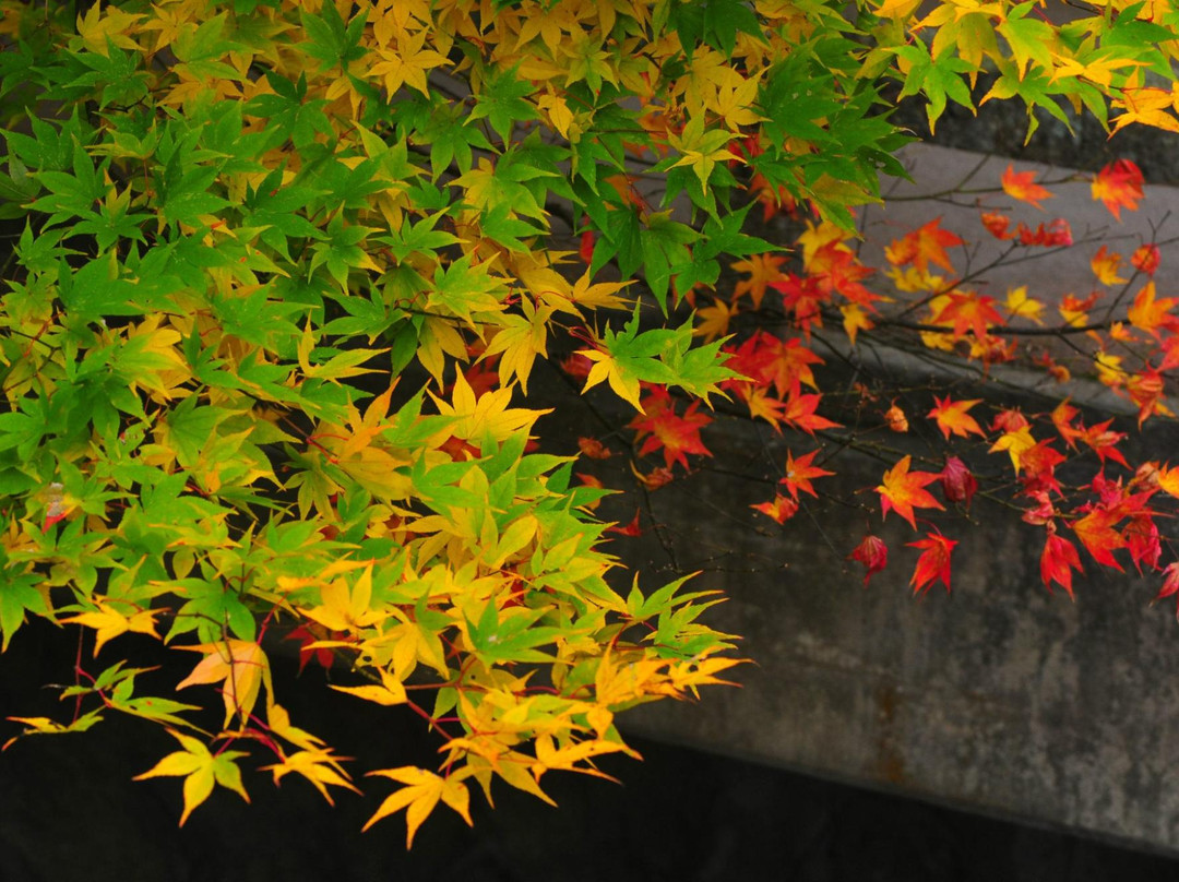 The Itohara Memorial-奥出云町必去景点