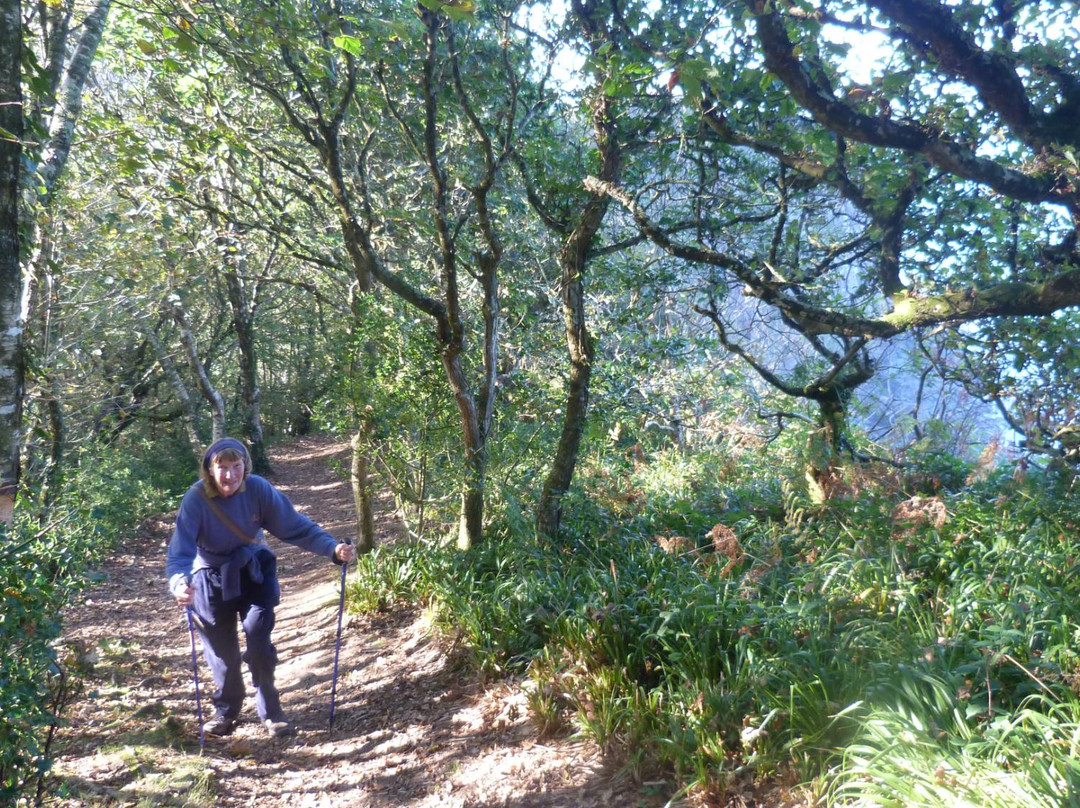 A South West Coast Path - Clovelly & Mouth Mill-Clovelly必去景点