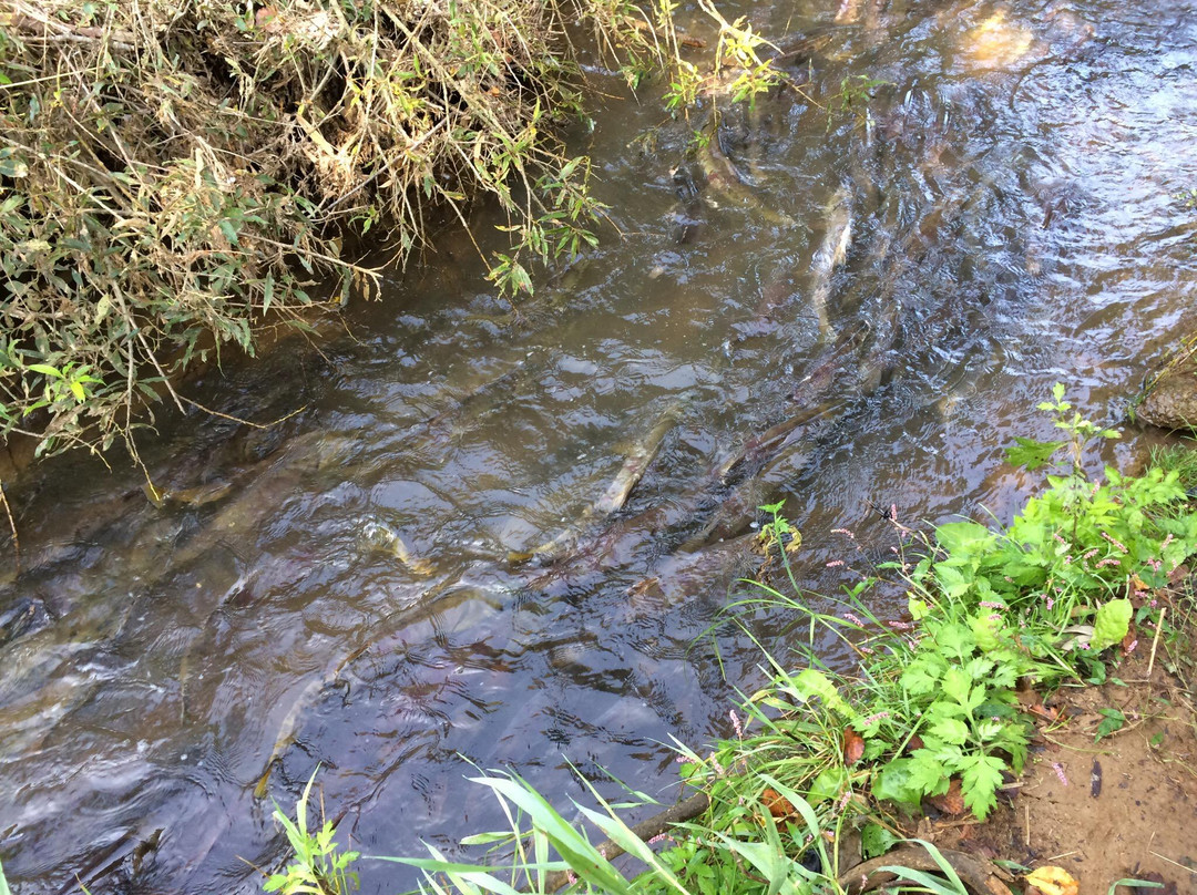 Shiraoi Tourist Information Center-白老町必去景点