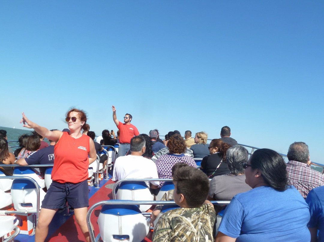 Boardwalk Beast-克马必去景点