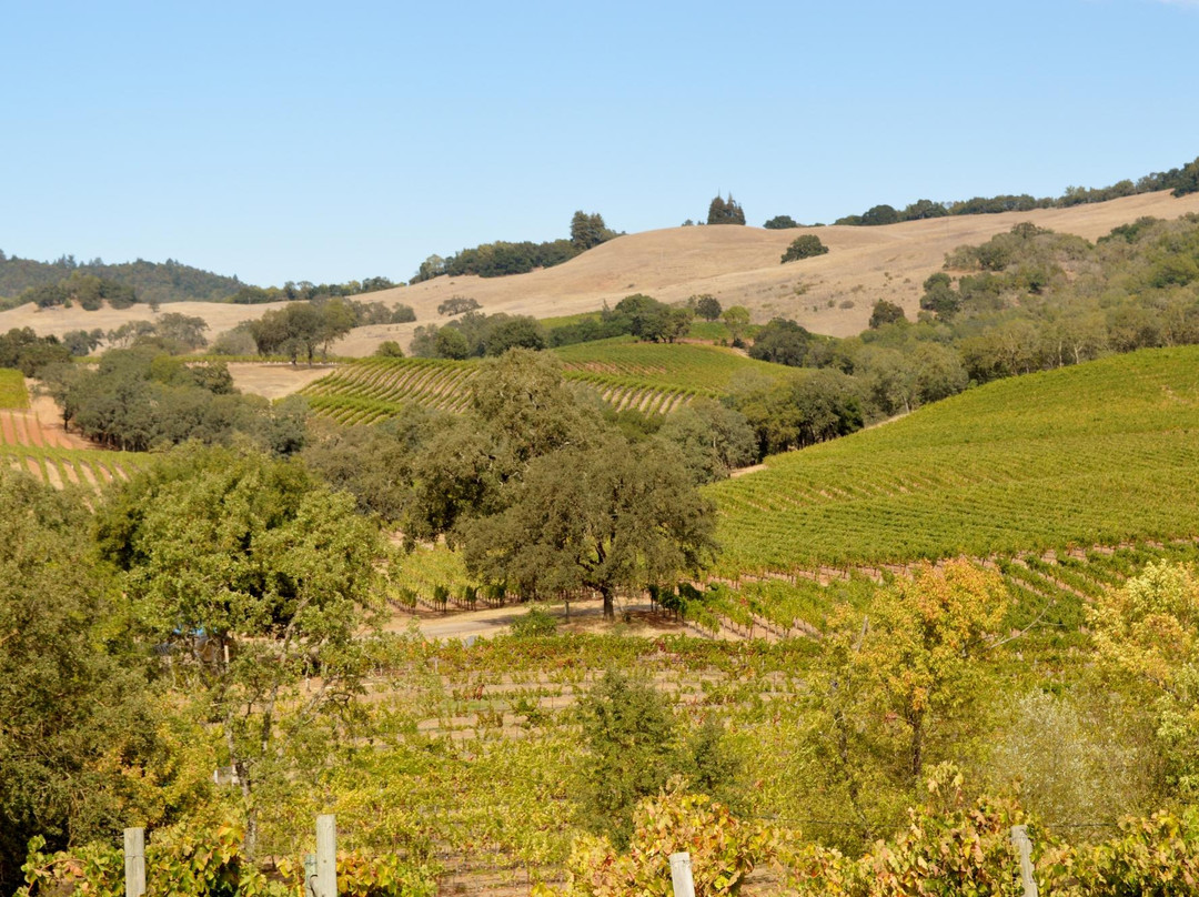 North Bay Winery Tours-Rohnert Park必去景点