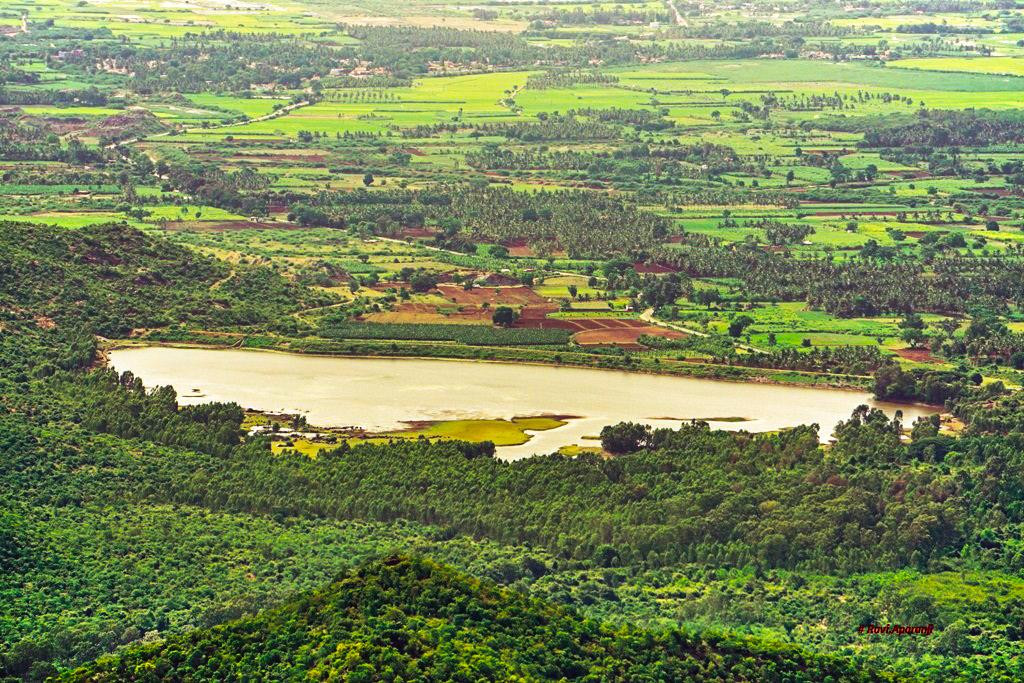 Br Hills Wildlife Sanctuary景点图片