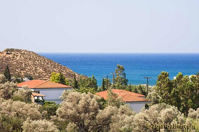 Sunningdale Bungalows主图