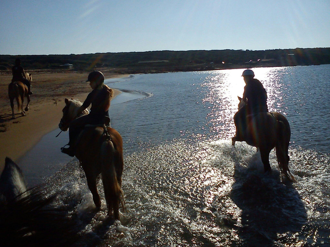 Agripark-阿尔盖罗必去景点