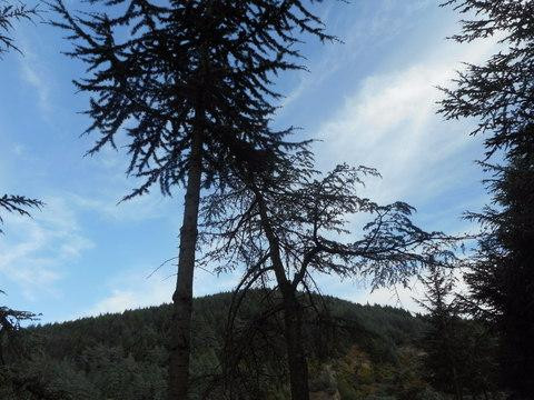 Barrage du Ternay-Saint-Marcel-les-Annonay必去景点