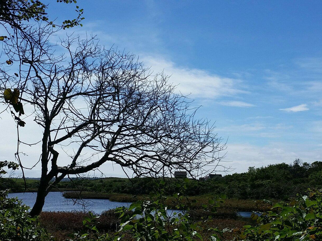 Clayhead Nature Trail-新肖勒姆必去景点