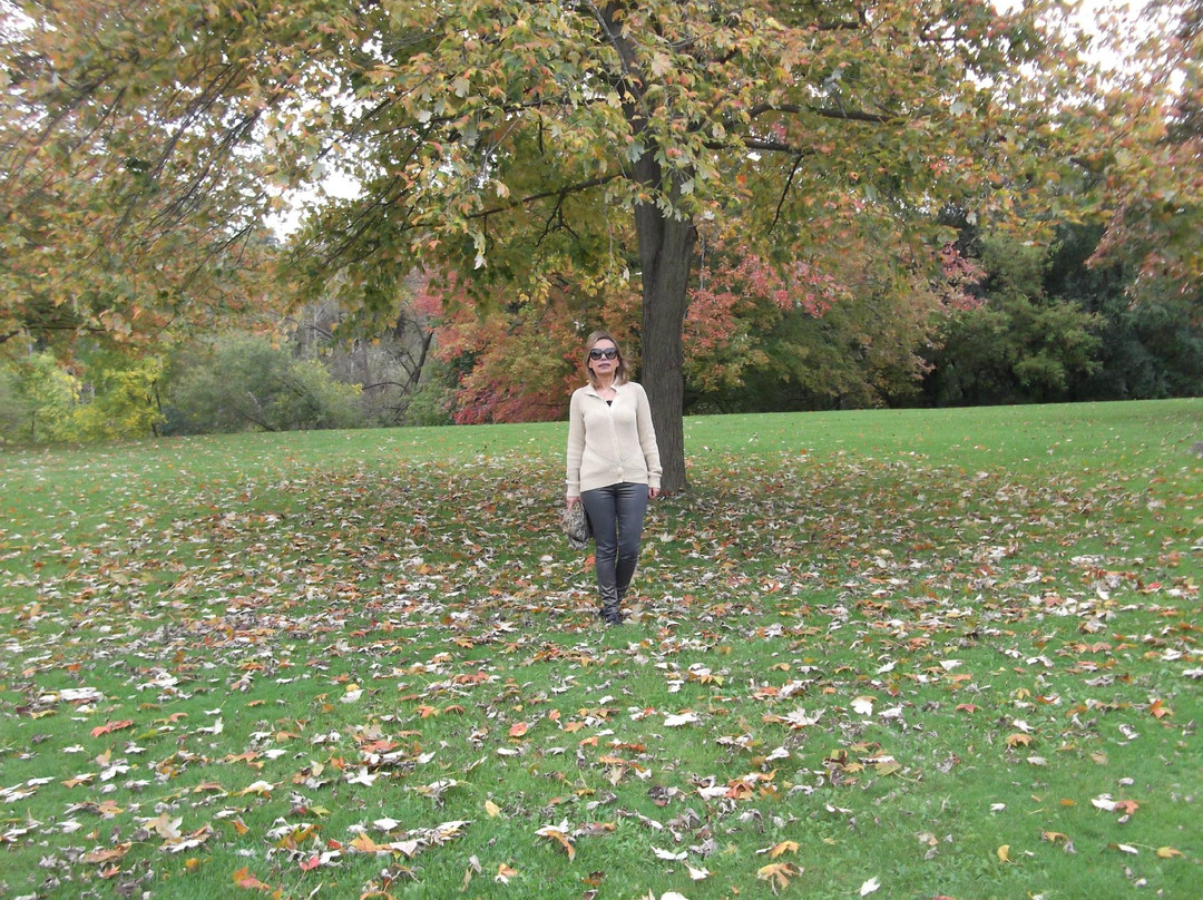 Pomona Mills Park-万锦市必去景点