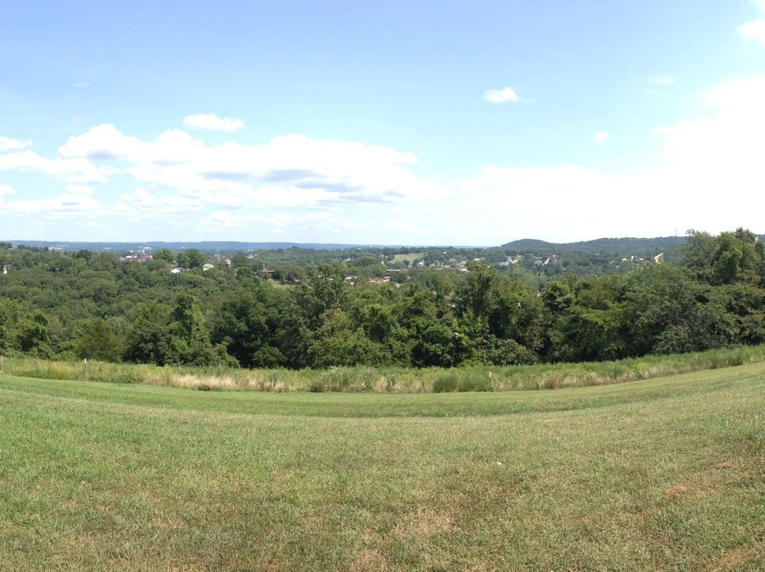 Chamois酒店住宿-Edelweiss Bed and Breakfast