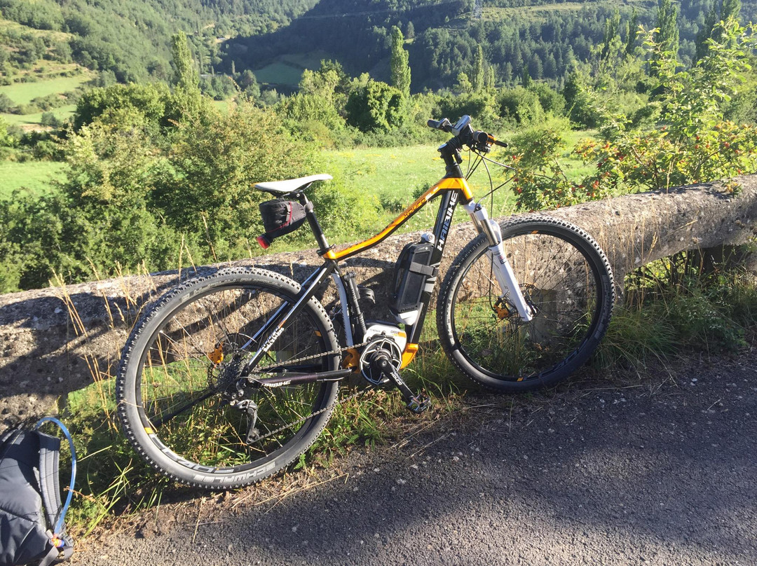 Bobi's Bikes景点图片