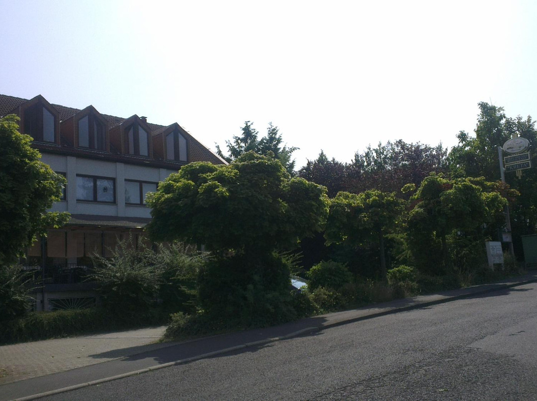 Staufenberg旅游攻略图片