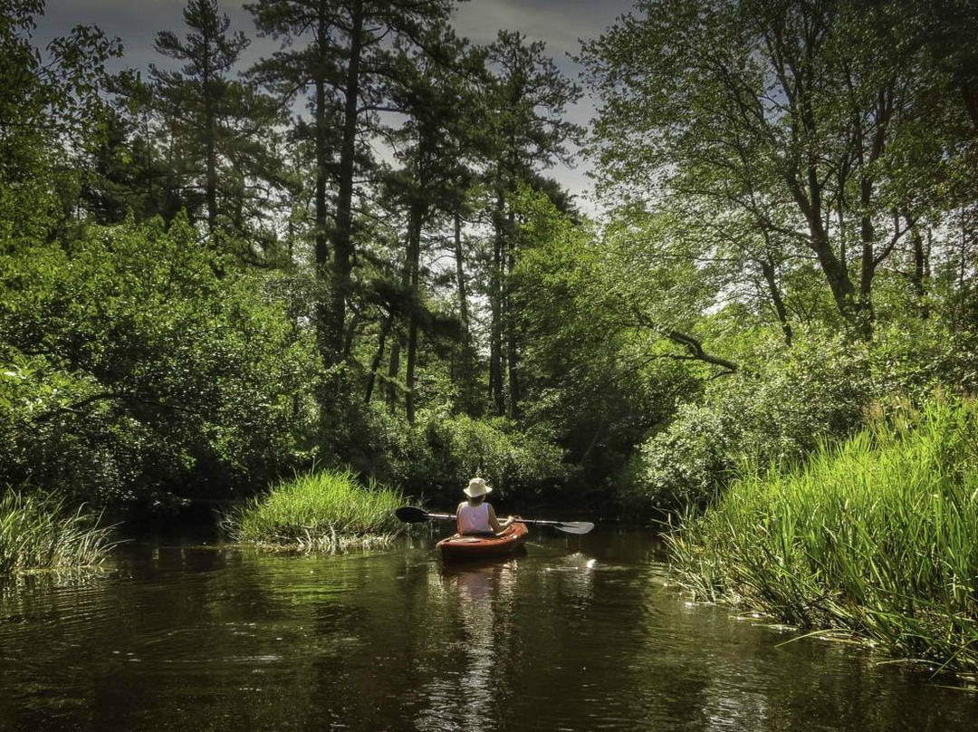 Pinelands Adventures景点图片