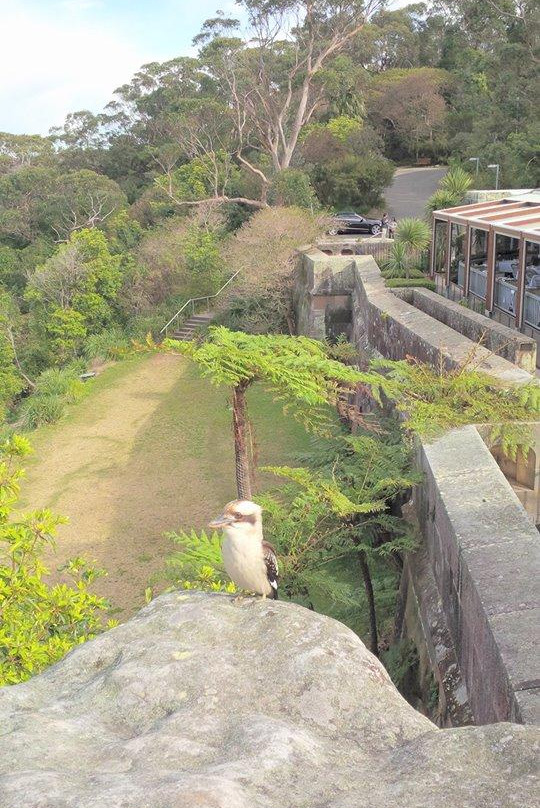 Walking Trail To Chowder Bay景点图片