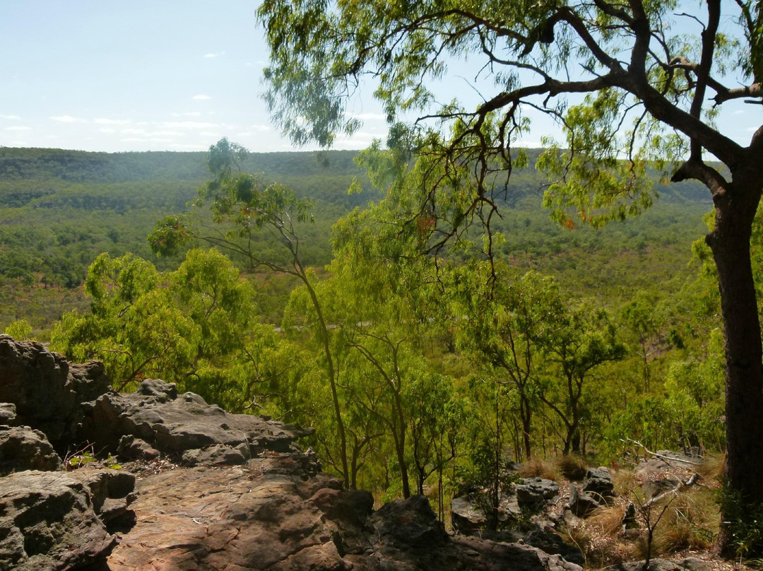 Quinkan Galleries Rock Art-Laura必去景点