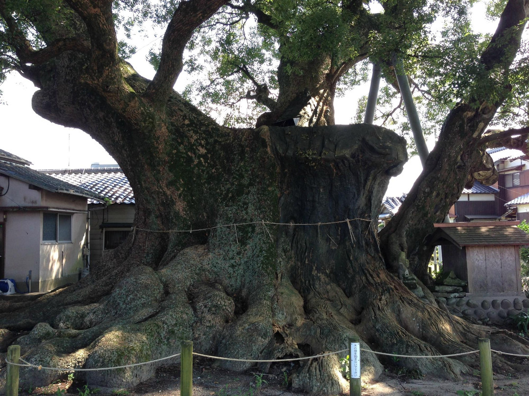 Kakurega no Mori-朝仓市必去景点