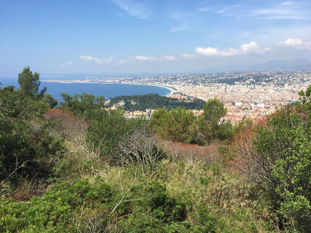 硼山森林公园-尼斯必去景点