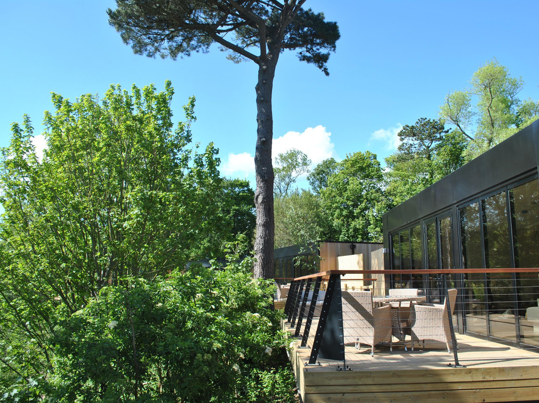Treehouse Hotel - At Port Lympne Reserve