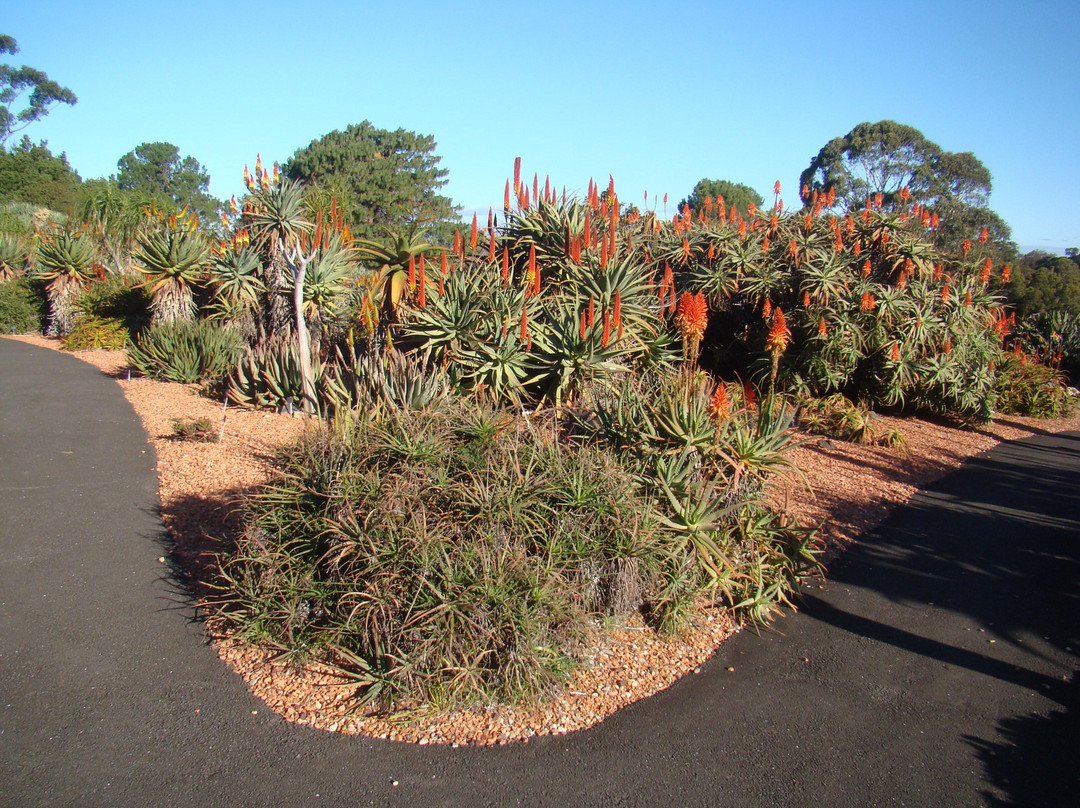 Wollongong Botanic Garden-卧龙岗市必去景点